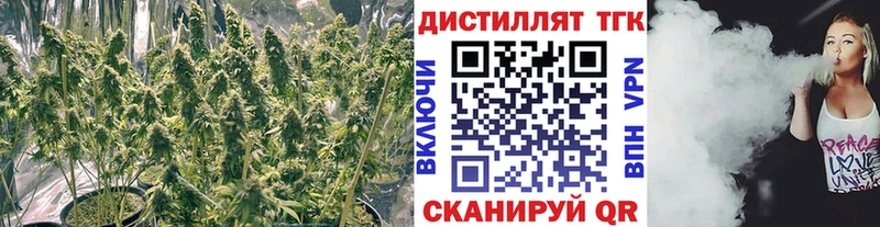 ТГК жижа  где найти наркотики  Буинск 